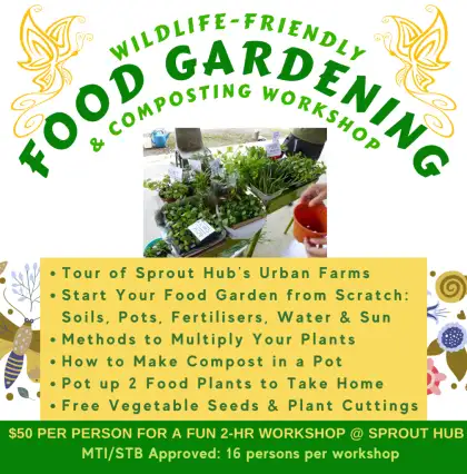 Food Gardening and Composting Workshop Cicada Tree