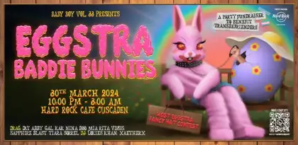 8. BABY BOY Vol. 33: EGGSTRA BADDIE BUNNIES