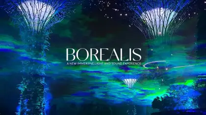 'Borealis' Immersive Experience at Gardens by the Bay Poster