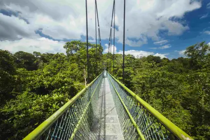 View of the TreeTop Walk