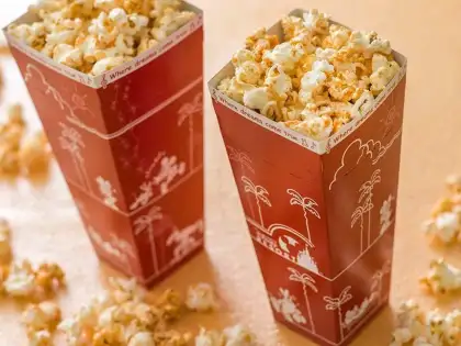 Popcorn Buckets