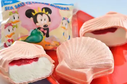 Sea Salt Ice Cream Monaka