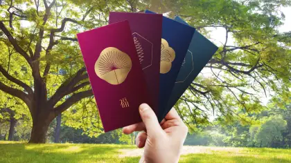 Geneco's Exclusive Red Packets