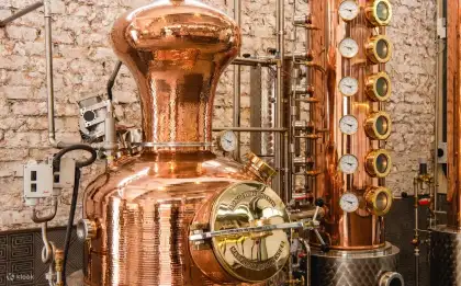 Brass Lion Gin Distillery Tour and Singapore Sling Masterclass