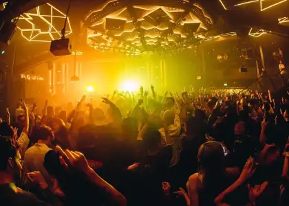 HEADER Nightlife SGP April 7 13 2023