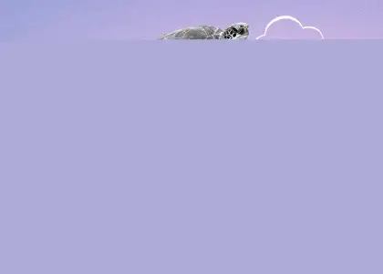 Whats on Singapore June 15 to 21 Activities Best Things to See Do Eat Drink Where to