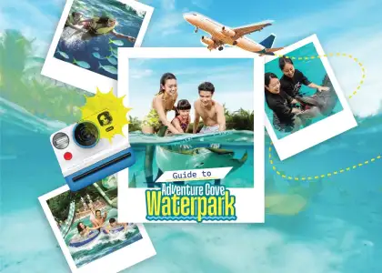 Guide to Adventure Cove Waterpark
