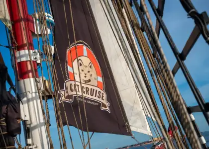 All Aboard Take Your Feline Friend on This Cat Cruise Along Sentosa