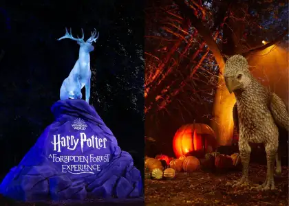 This Harry Potter Themed Experience Will Land in SG Soon