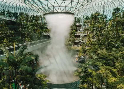 Offset Your Flights Carbon Footprint Through Changi Airports Initiative