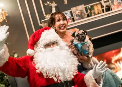 Have a Wonderful Christmas at Gardens by the Bays Christmas Wonderland