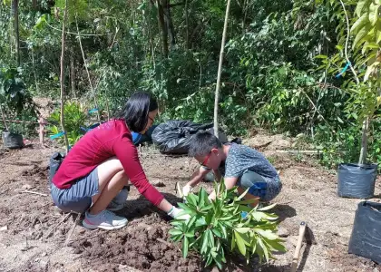 Make Singapore Greener by Joining N Parks Initiative