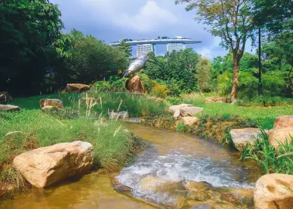 Gardens by the Bay SG