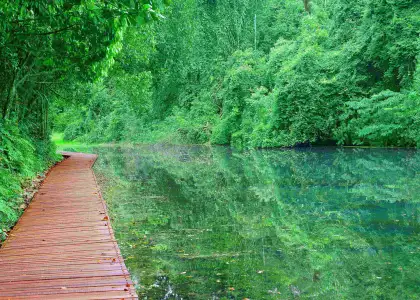Mac Ritchie Reservoir Singapore 1