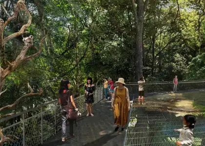 Mandai Wildlife to Open New Attractions Green Spaces