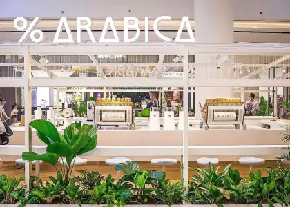 Instagram Arabica SG