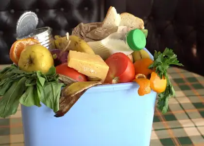 Hungry for a Sustainable Lifestyle Here Are Food Waste Solution Apps in Singapore to Download Right Now