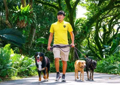 Allen Villanuea Sunny Chong 4