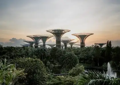 New Normal Travel in Singapore Everything You Need to Know