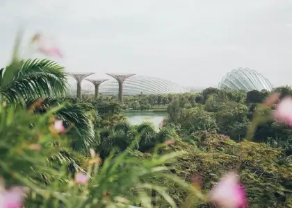 Singapore Green Spaces Stock