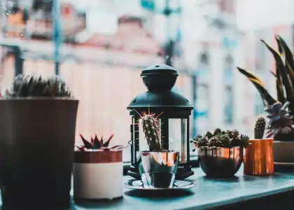 The Expats Guide to Homeware Stores in Singapore