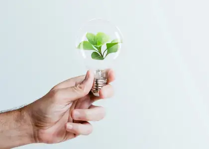 Singapore net zero emissions 2050