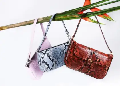 Bag Cleaning Services in Singapore to Make Your Purses Look Spanking Ne