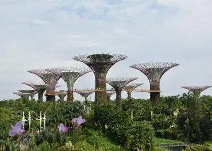 Gardens by the Bay Nature Sustainability Tours