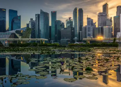 Eight Singapore startups to watch this year