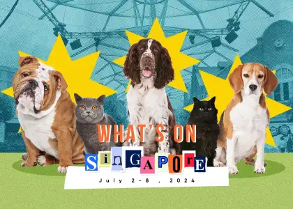 Whats On Header Template July 2 8 SG
