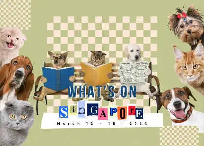 Whats On Header Template March 12 18 SG