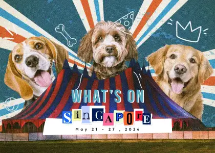 Whats On Header Template May 21 27 SG 2