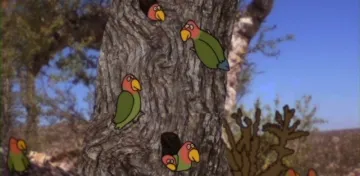 Play Make Break Alternative Voices in Animation