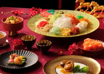 Year of the Horse Reunion Gala Dinner