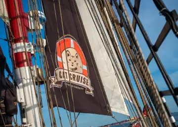 All Aboard! Take Your Feline Friend on This Cat Cruise Along Sentosa