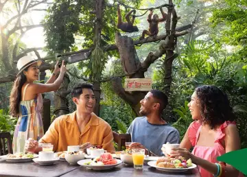 Singapore Zoo Introduces New Interactive Elephant Experience and More