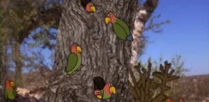 Play Make Break Alternative Voices in Animation